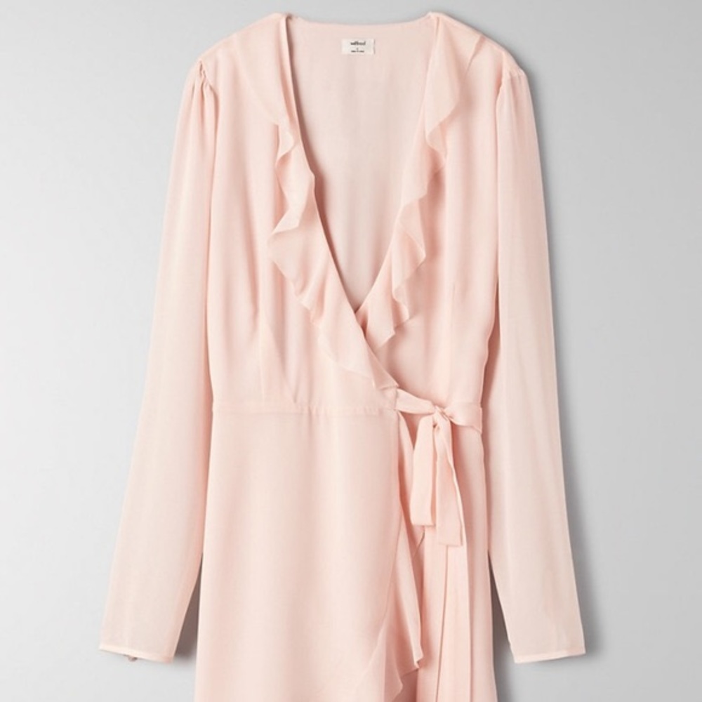 Aritzia Louise Dress